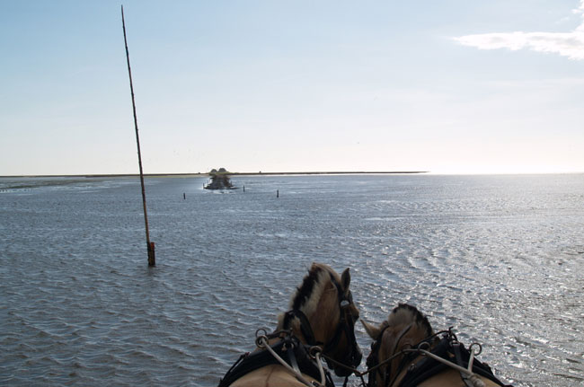 Weltnaturerbe Wattenmeer feiert das fünfjährige Bestehen in Breklum